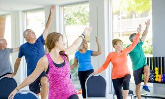 silver sneakers balance exercises